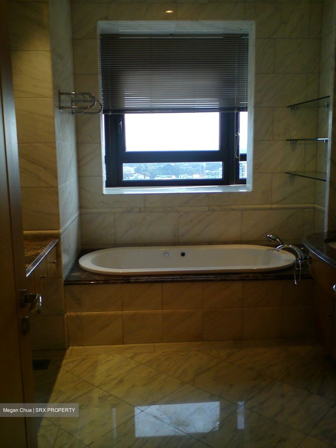 Ardmore Park (D10), Condominium #593705781